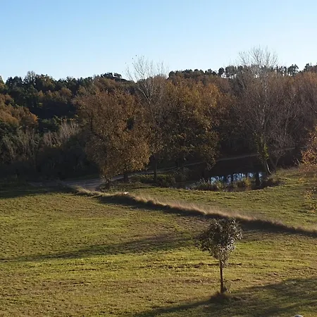 El Vilaro San Bartolomé del Grau
