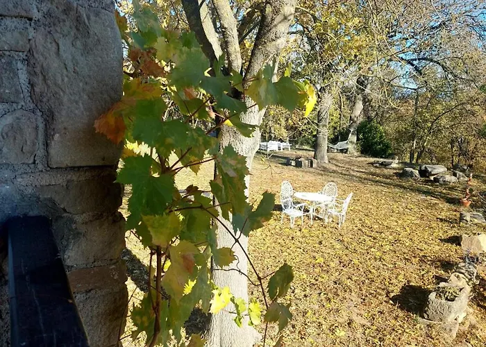 El Vilaro San Bartolomé del Grau