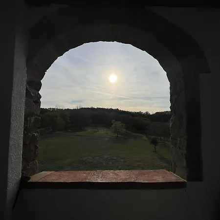 El Vilaro Holiday home San Bartolome del Grau