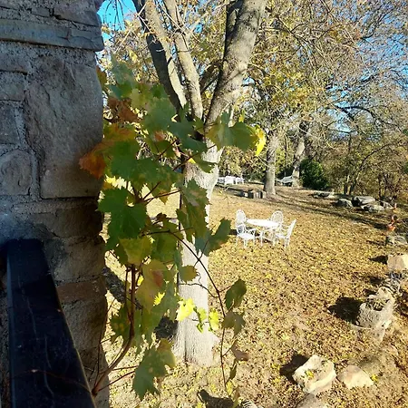 El Vilaro San Bartolome del Grau